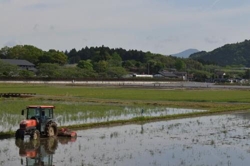 石岡トレイルラン2023